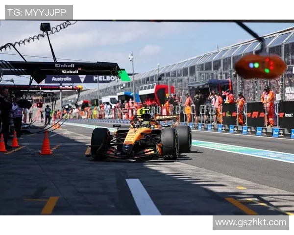 F1车队赛中实时策略调整与数据分析技术的应用与优化研究